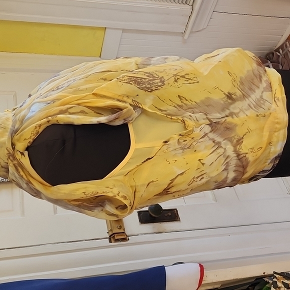 Luluria size Large Beautiful polyester see through,lining inside short sleeve - Picture 6 of 11